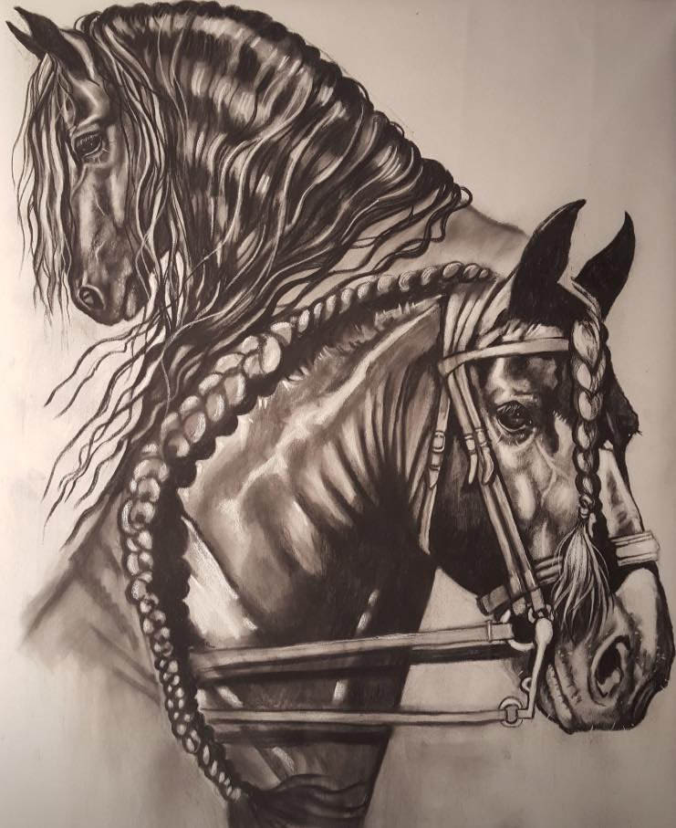 Horse Drawings